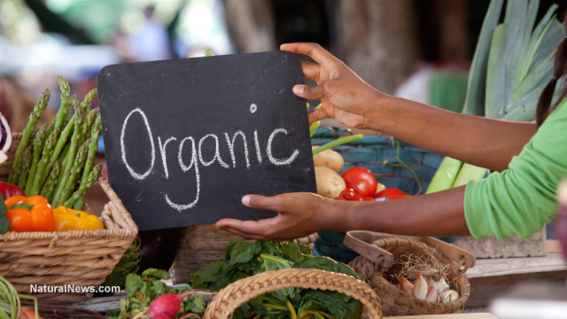 Baseball player says going organic helped him more than his exercise routine