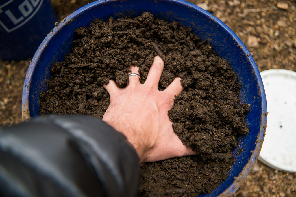 8 ways to make healthy organic soil for your garden